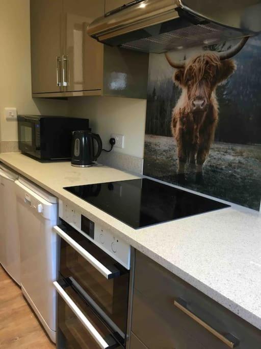The Mistal@cow Close Barn, - Relax, And Enjoy Holiday home Leyburn