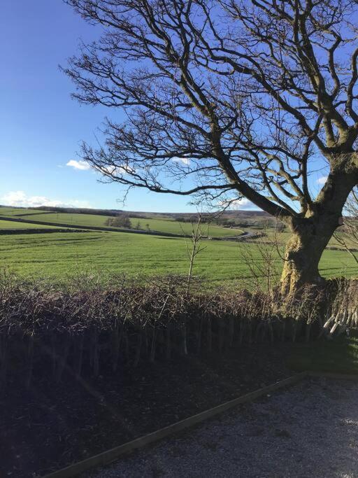 Holiday home The Mistal@cow Close Barn, - Relax, And Enjoy